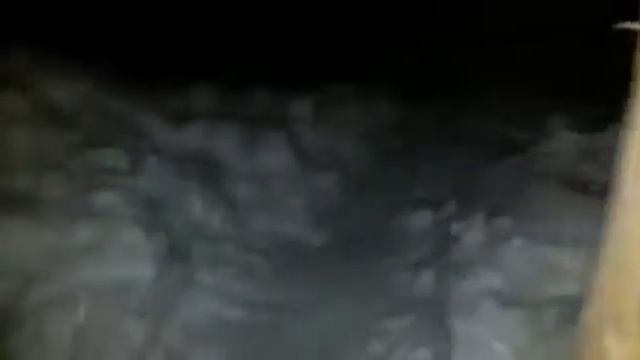 Волк в деревне Казакша прикол 2017 с Ватсап whatsapp смотреть онлайн