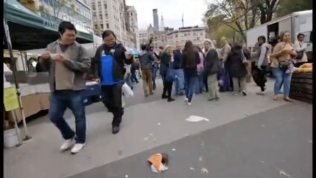 ЛУЧШИЙ ПРИКОЛ 2016  КРЫСА С ПИЦЦЕЙ