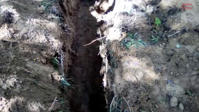 Мега находка на скромном копе смотреть онлайн