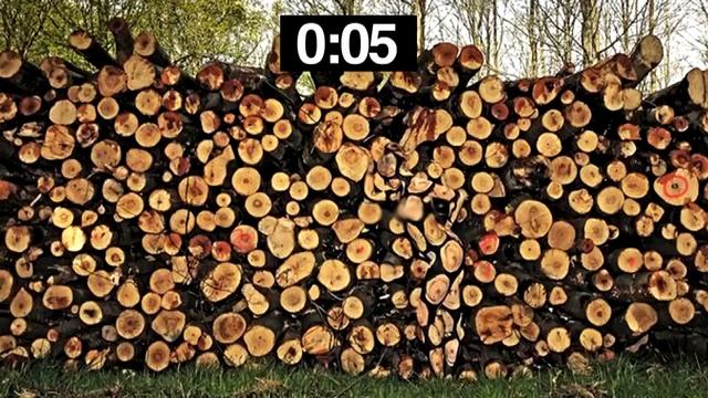 15 ЗАГАДОК, ЧТО РЕШИТ ТОЛЬКО ГЕНИЙ Я Не Решил смотреть онлайн