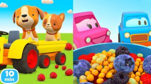 Машинки собирают фрукты и ягоды  Мультики Умные Машинки и Машины помощники