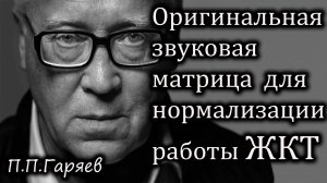 Звуковая матрица П.П. Гаряева — Поддержка ЖКТ (желудочно-кишечного тракта)