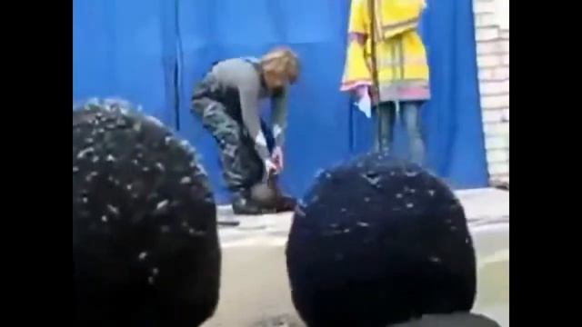 Приколы в спортзале __ sports hall смотреть онлайн