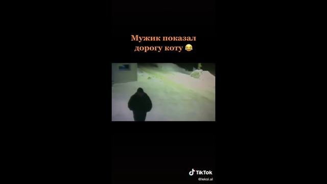 СМЕШНЫЕ КОШКИ😊 смотреть онлайн