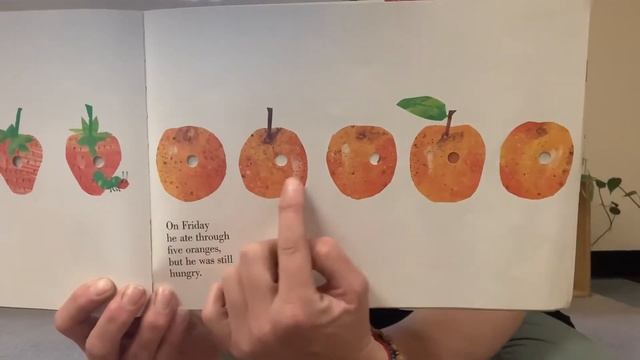 Secret Garden Montessori Miss Melissa Reads The Very Hungry Caterpillar 🐛 смотреть онлайн