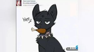 Приколы по котам-воителям - 1 часть