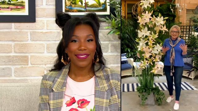 Barbara King 6-Piece Lily Pretty Woman Live Bulbs on QVC смотреть онлайн