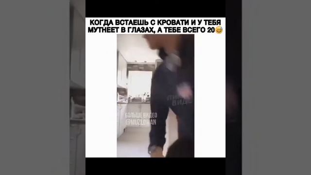 смеху море приколы из инстограм смотреть онлайн
