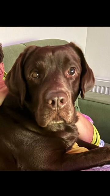 30-04-2025 смотреть онлайн