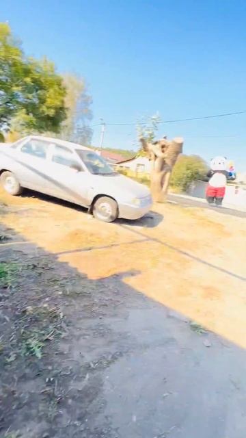 Классный парень Женя ждёт подарки от сестры. Он не ожидал такого поздравления на свой день рождения смотреть онлайн