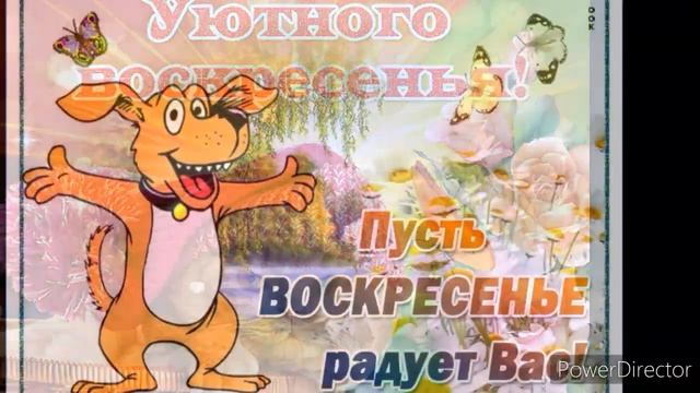 Позитивного воскресенья! смотреть онлайн