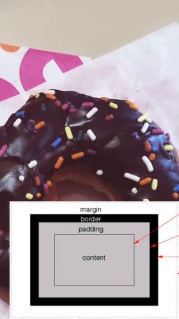 Box Model Vocabulary CSS #shorts V010