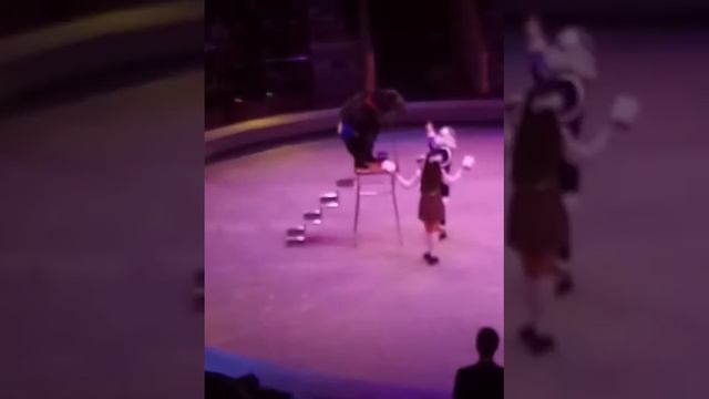 6 января 2022 г.