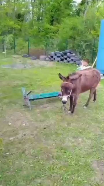 Воскресное утро в храме