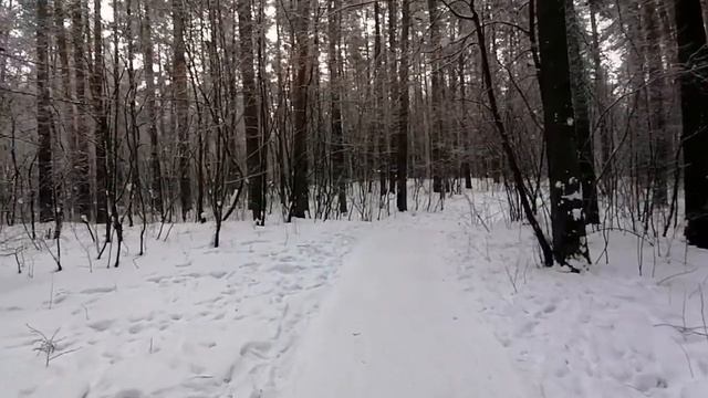 ASMR SOUNDS Звуки скрипа снега под ногами.