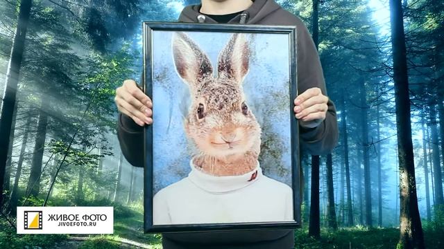 Фотосервис 