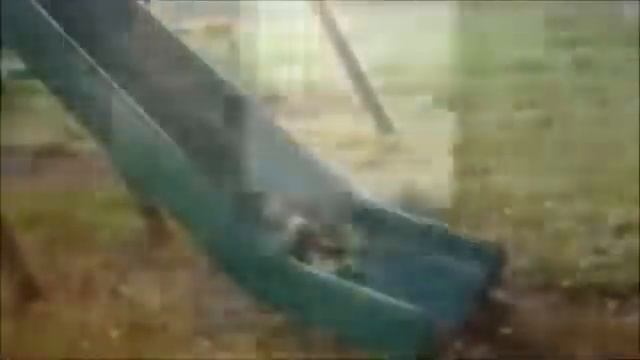 Прикольные коты и кошки смешное видео подборка Funny cats смотреть онлайн