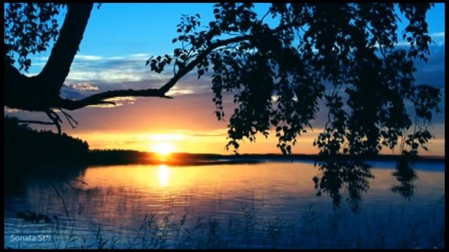 Пел соловей  Жанна Бичевская