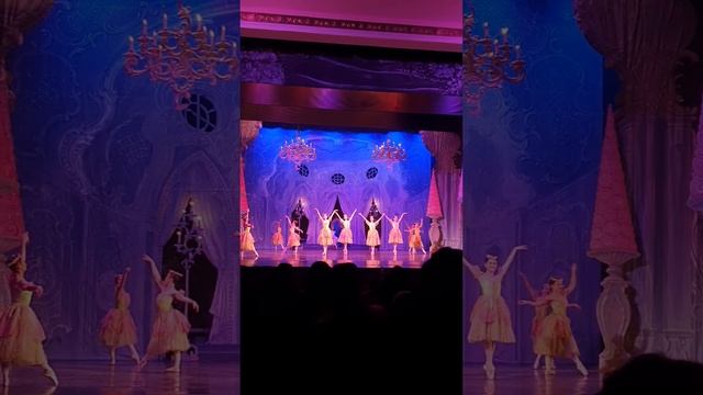 Еду в Монголию зимой🥶. Щелкунчик. моменты10