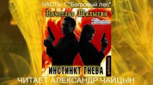 01.01 Вячеслав Шалыгин "Сыщик Туманов" (книга 1) "Инстинкт гнева" (часть 1)