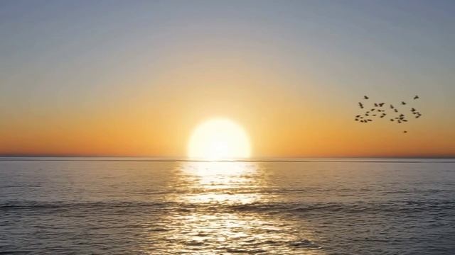 The Chemodan - Я не могу (Unofficial Video 2024)