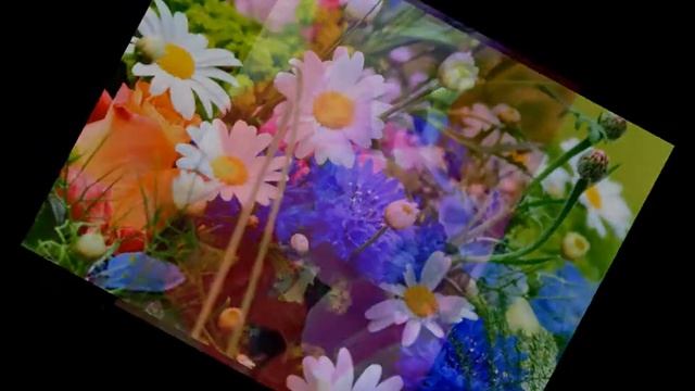 "С днем рождения" исп. Татьяна Ермакова смотреть онлайн