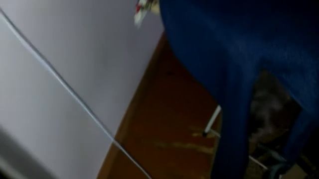 Весела Кіра