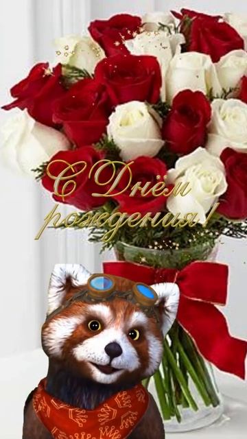 Света, Светочка с днем рождения!!! смотреть онлайн