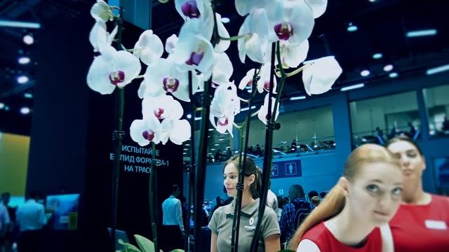 Самые красивые девушки ММАС 2018.