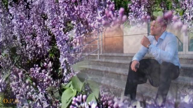 МАМИНА СИРЕНЬ смотреть онлайн