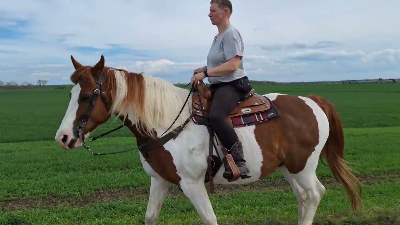 24 апреля 2025 г. смотреть онлайн