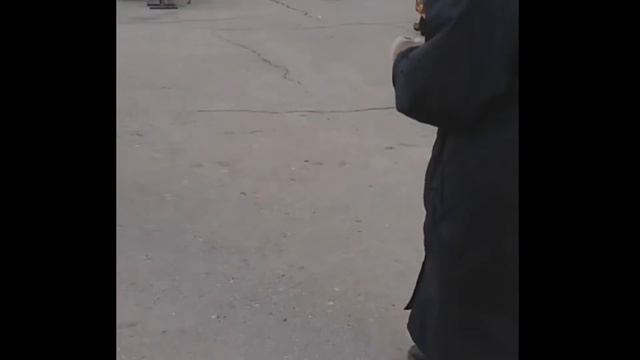 Прикольная смотреть онлайн