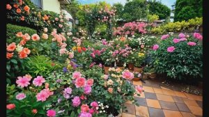 САДЫ США. ПРИУСАДЕБНЫЕ САДЫ ИДЕИ ДЛЯ НЕБОЛЬШОГО КРАСИВОГО САДА