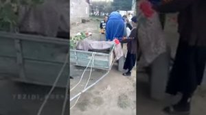 езидские приколы