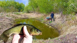 Пруд с рыбой на даче весной [ВСЁ ОЧЕНЬ ПЛОХО]