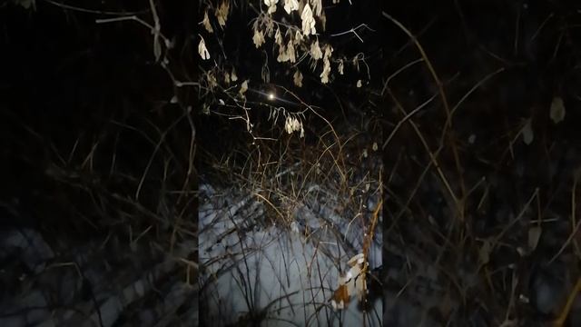 АНЕКДОТ. ЗЕМЛЯ. ПОДПИСЫВАЮСЬ В ОТВЕТ. смотреть онлайн