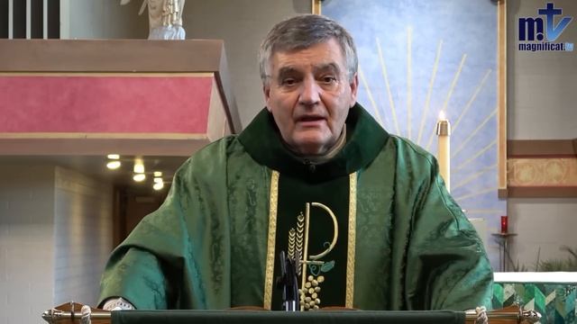Homilía de hoy | Viernes, XIII semana del Tiempo Ordinario | 05-07-2024 | Pbro. Santiago Martín, FM смотреть онлайн