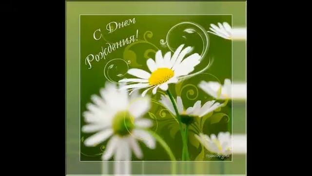 С Днем Рождения, Андрей ))