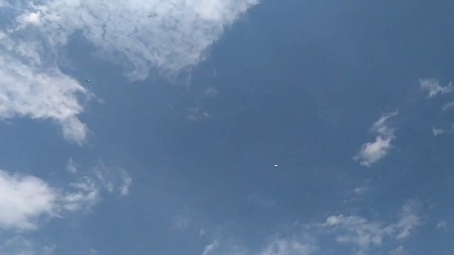 Бойные Голуби, очередной бои чернохвостих. 15.04.20 Грузия, Тбилиси смотреть онлайн