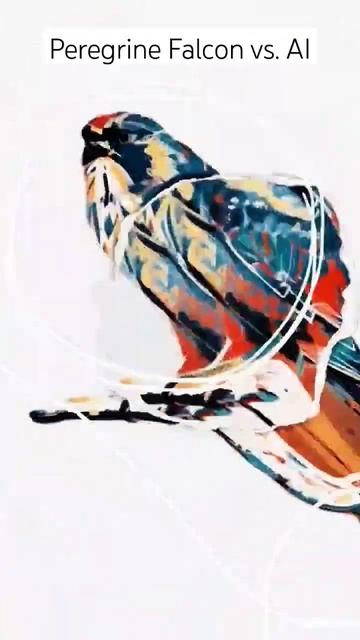 Juvenile Peregrine Falcon vs. AI #AI #subscribe #shorts #falcon #peregrinefalcon #birdsofprey #art смотреть онлайн