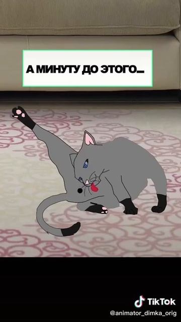 Короткий прикол смотреть онлайн