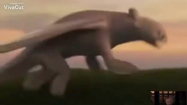 Беззубик и дневная фурия*приколы*