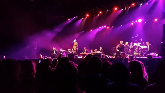 Kadim sahir Dusseldorf 29/11/2013 Video 1 смотреть онлайн