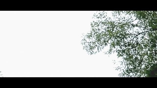 Свадьба в Малиновке & красивая свадьба в минске - Wedding Highlights Minsk смотреть онлайн