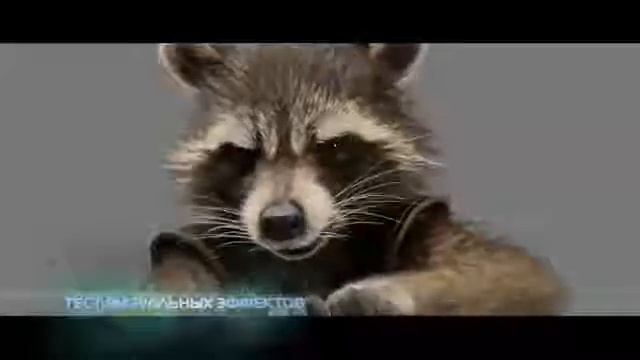 Енот Ракета: озвучивает Брэдли Купер