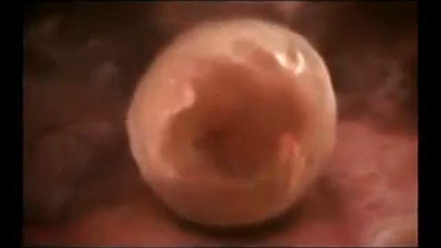 Откуда берутся дети? смотреть онлайн