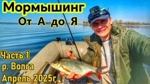 МОРМЫШИНГ/СПИННИНГ ДЛЯ МОРМЫШИНГА/ПОПАЛ НА ЖОР КРАСНОПЁРКИ/РЕКА ВОЛГА/ВЕСНА 2025/РУССКАЯ РЫБАЛКА/Ч.1