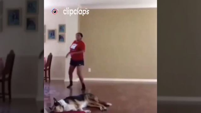 Всякие прикалюхи,шутки, жракадо слёз X смотреть онлайн