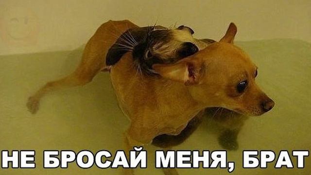 Приколы. НУ КАК ОТДОХНУЛ? | Мемозг #75 смотреть онлайн