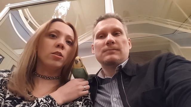 AskMasha и попугай 